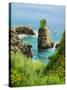 La Grotta On Island Corfu-kirilstanchev-Stretched Canvas