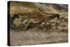 La grotte de Lascaux (Dordogne) ; la salle des taureaux (fac-similé).-null-Stretched Canvas