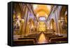 La Iglesia De La Compania De Jesus, City of Quito, Ecuador, South America-Matthew Williams-Ellis-Framed Stretched Canvas