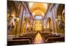 La Iglesia De La Compania De Jesus, City of Quito, Ecuador, South America-Matthew Williams-Ellis-Mounted Photographic Print