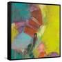 La Inspiracion-Gabriela Villarreal-Framed Stretched Canvas