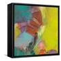 La Inspiracion-Gabriela Villarreal-Framed Stretched Canvas