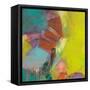 La Inspiracion-Gabriela Villarreal-Framed Stretched Canvas