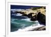 La Jolla Beach IV-Alan Hausenflock-Framed Photographic Print