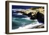 La Jolla Beach IV-Alan Hausenflock-Framed Photographic Print