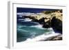 La Jolla Beach IV-Alan Hausenflock-Framed Photographic Print