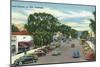 La Jolla, California - View Down Girard Avenue-Lantern Press-Mounted Art Print