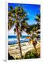 La Jolla Palms II-Alan Hausenflock-Framed Photo