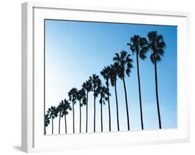 La Jolla Palms-Jenny Kraft-Framed Art Print