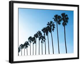 La Jolla Palms-Jenny Kraft-Framed Art Print