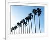 La Jolla Palms-Jenny Kraft-Framed Giclee Print