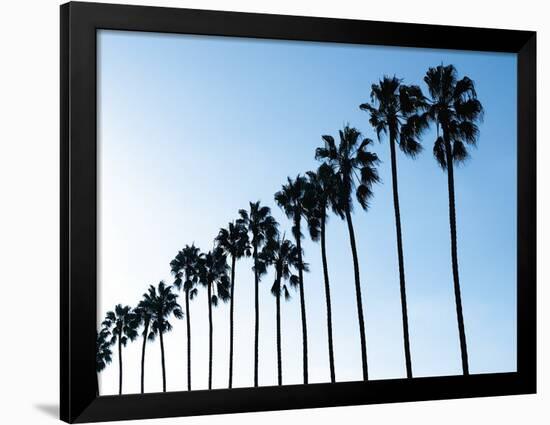 La Jolla Palms-Jenny Kraft-Framed Giclee Print