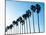 La Jolla Palms-Jenny Kraft-Mounted Art Print