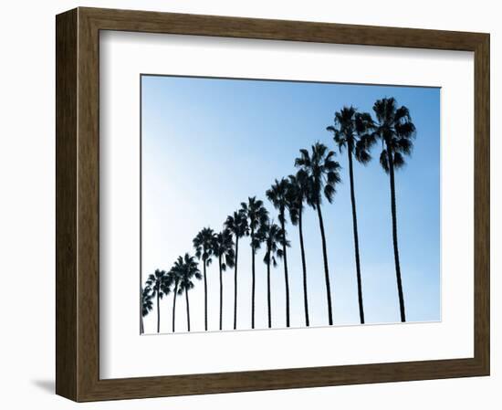 La Jolla Palms-Jenny Kraft-Framed Art Print