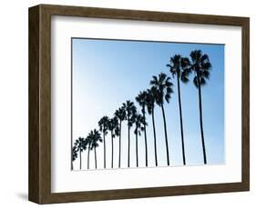 La Jolla Palms-Jenny Kraft-Framed Art Print