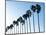 La Jolla Palms-Jenny Kraft-Mounted Art Print