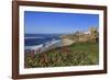 La Jolla, San Diego, California, United States of America, North America-Richard Cummins-Framed Photographic Print