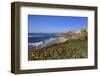 La Jolla, San Diego, California, United States of America, North America-Richard Cummins-Framed Photographic Print