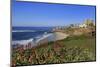 La Jolla, San Diego, California, United States of America, North America-Richard Cummins-Mounted Photographic Print