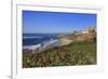 La Jolla, San Diego, California, United States of America, North America-Richard Cummins-Framed Photographic Print