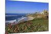 La Jolla, San Diego, California, United States of America, North America-Richard Cummins-Mounted Photographic Print