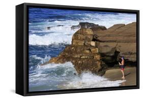 La Jolla, San Diego, California, United States of America, North America-Richard Cummins-Framed Stretched Canvas