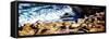 La Jolla Sea Lions II-Alan Hausenflock-Framed Stretched Canvas