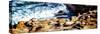 La Jolla Sea Lions II-Alan Hausenflock-Stretched Canvas