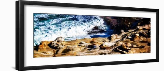 La Jolla Sea Lions II-Alan Hausenflock-Framed Photo