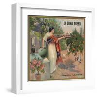 La Loma Queen Brand - Riverside, California - Citrus Crate Label-Lantern Press-Framed Art Print