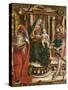 La Madonna Della Rondine (The Madonna of the Swallo), after 1490-Carlo Crivelli-Stretched Canvas