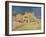 'La Maison De Vincent A Arles', 1888-Vincent van Gogh-Framed Giclee Print