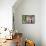 La Maison Rose-Philippe Hugonnard-Framed Stretched Canvas displayed on a wall