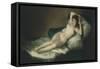 La Maja Desnuda, the Nude Maja, 1797-1800-Francisco de Goya-Framed Stretched Canvas