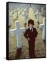 La Malediction THE OMEN by Richard Donner with Harvey Stephens, 1976 (photo)-null-Framed Stretched Canvas