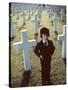 La Malediction THE OMEN by Richard Donner with Harvey Stephens, 1976 (photo)-null-Stretched Canvas