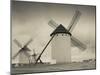 La Mancha Windmills, Campo De Criptana, Castile-La Mancha Region, Spain-Walter Bibikow-Mounted Photographic Print