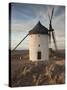 La Mancha Windmills, Consuegra, Castile-La Mancha Region, Spain-Walter Bibikow-Stretched Canvas