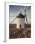 La Mancha Windmills, Consuegra, Castile-La Mancha Region, Spain-Walter Bibikow-Framed Premium Photographic Print