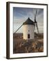 La Mancha Windmills, Consuegra, Castile-La Mancha Region, Spain-Walter Bibikow-Framed Premium Photographic Print