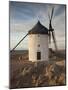 La Mancha Windmills, Consuegra, Castile-La Mancha Region, Spain-Walter Bibikow-Mounted Photographic Print