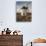 La Mancha Windmills, Consuegra, Castile-La Mancha Region, Spain-Walter Bibikow-Photographic Print displayed on a wall