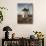 La Mancha Windmills, Consuegra, Castile-La Mancha Region, Spain-Walter Bibikow-Photographic Print displayed on a wall