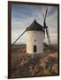 La Mancha Windmills, Consuegra, Castile-La Mancha Region, Spain-Walter Bibikow-Framed Photographic Print