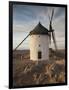 La Mancha Windmills, Consuegra, Castile-La Mancha Region, Spain-Walter Bibikow-Framed Photographic Print