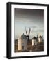 La Mancha Windmills, Consuegra, Castile-La Mancha Region, Spain-Walter Bibikow-Framed Photographic Print