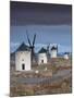 La Mancha Windmills, Consuegra, Castile-La Mancha Region, Spain-Walter Bibikow-Mounted Premium Photographic Print