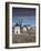 La Mancha Windmills, Consuegra, Castile-La Mancha Region, Spain-Walter Bibikow-Framed Photographic Print