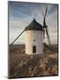 La Mancha Windmills, Consuegra, Castile-La Mancha Region, Spain-Walter Bibikow-Mounted Photographic Print