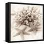 La Mer 1-Alan Blaustein-Framed Stretched Canvas